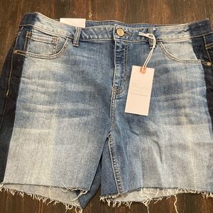 NWT lane Bryant denim shorts